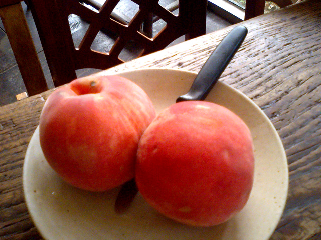 a0101715_059195.jpg