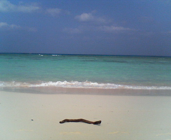 b0115215_15224546.jpg
