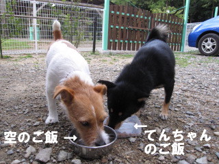 c0185516_22581816.jpg