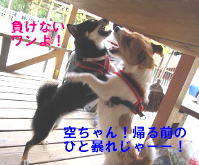 c0185516_23274739.jpg