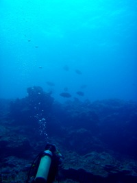 a0043520_19264688.jpg