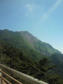 b0007421_10444567.jpg