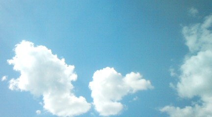 f0031722_2247443.jpg