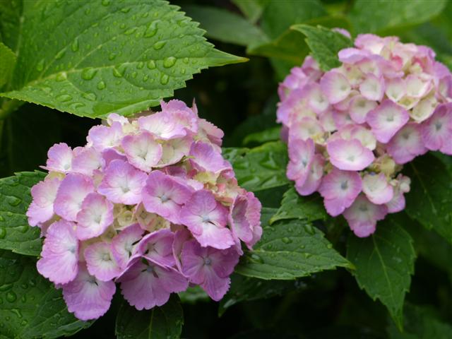 b0171523_16393544.jpg