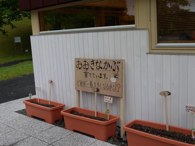 b0171523_1718536.jpg