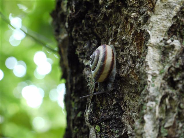 b0171523_1735460.jpg