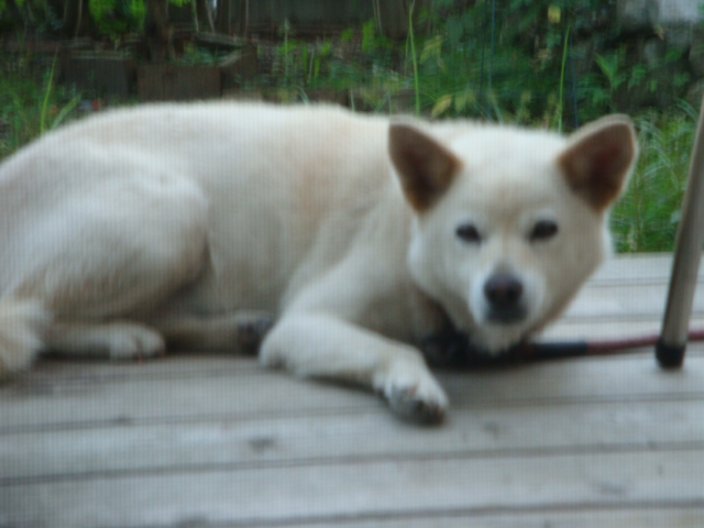 e0148025_2203140.jpg