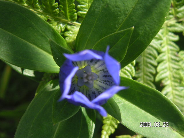 a0020929_22235060.jpg
