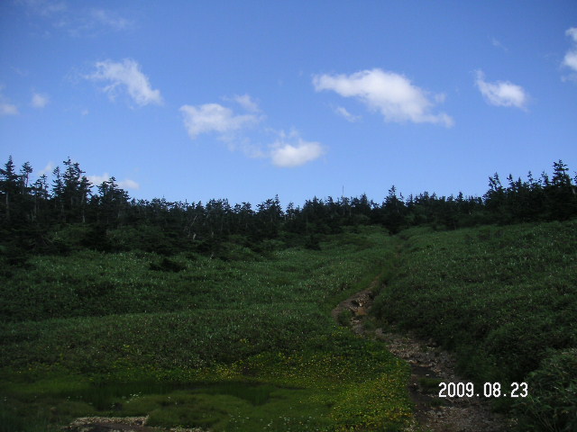 a0020929_2229347.jpg