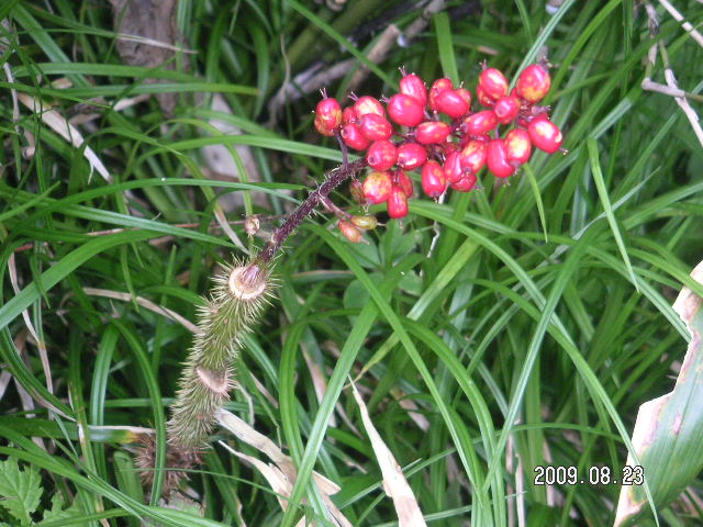 a0020929_22301516.jpg