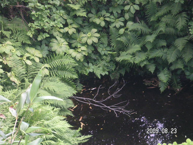a0020929_22313691.jpg