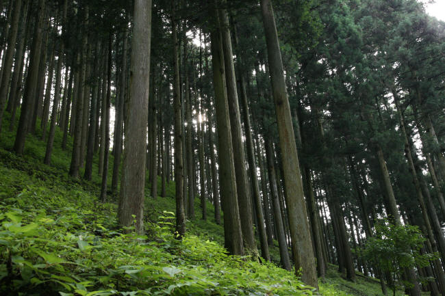 f0017530_1915473.jpg