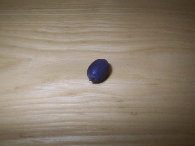 f0045433_0514832.jpg