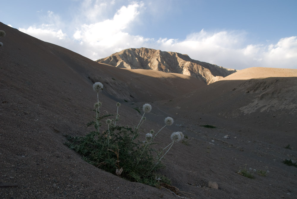 b0142435_0145554.jpg