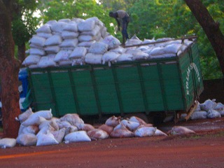 f0204737_3532495.jpg