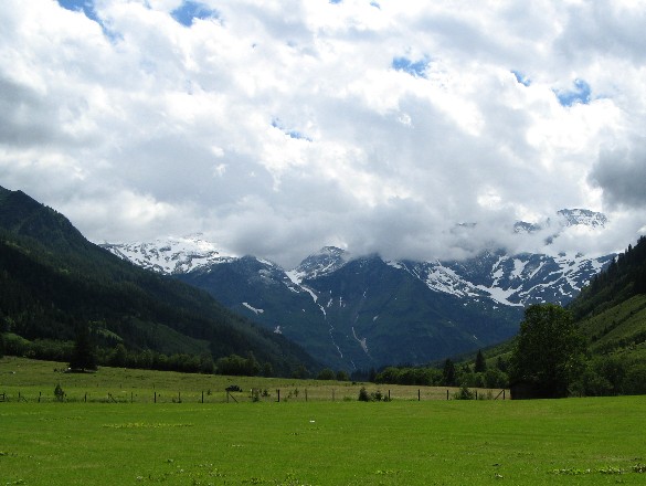 c0051938_957185.jpg