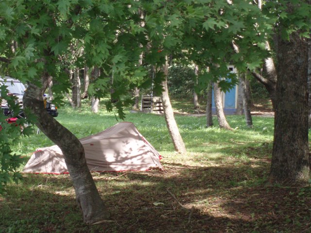 c0105338_2318846.jpg