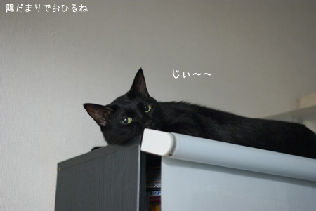 c0132438_22434363.jpg
