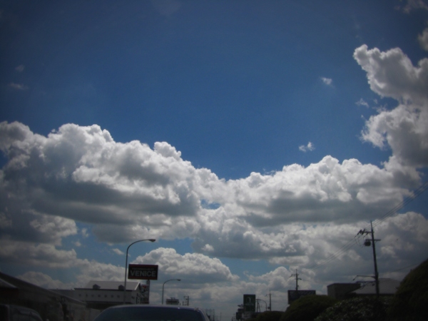 a0036139_23472236.jpg