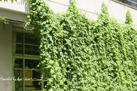 e0156649_21581287.jpg