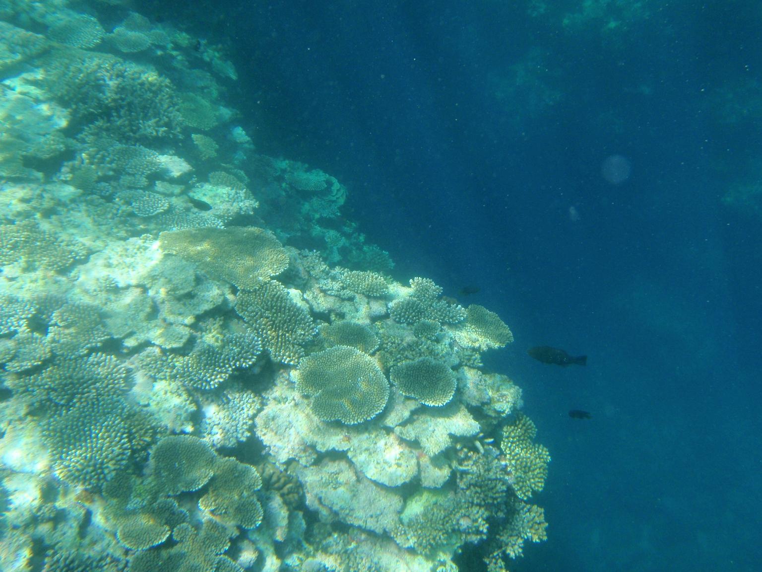 e0134752_2115730.jpg