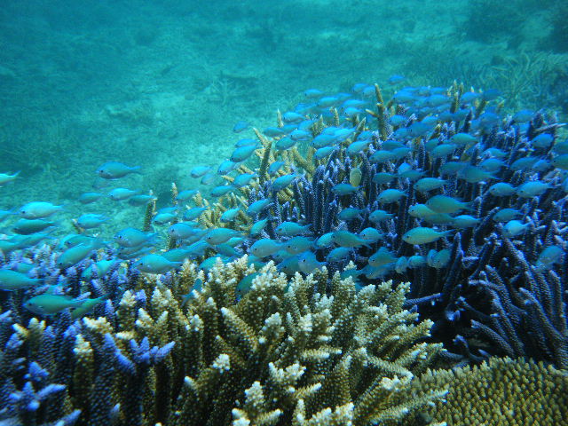 e0134752_21293912.jpg