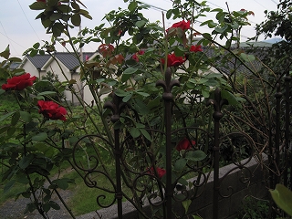 d0149257_18292320.jpg