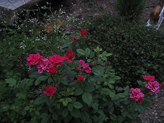 d0149257_18303718.jpg
