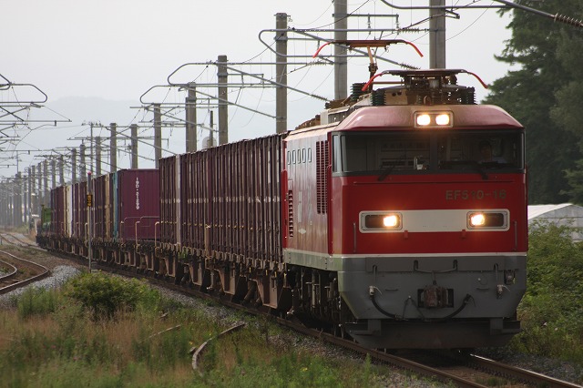 b0002858_0514616.jpg