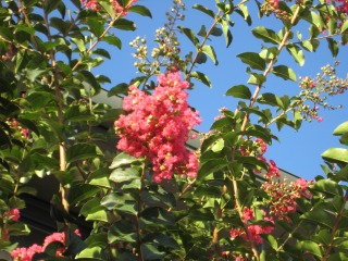 b0181861_7395539.jpg