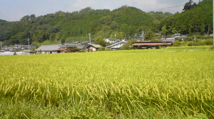 e0111365_183031.jpg