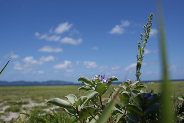 a0091666_9211416.jpg
