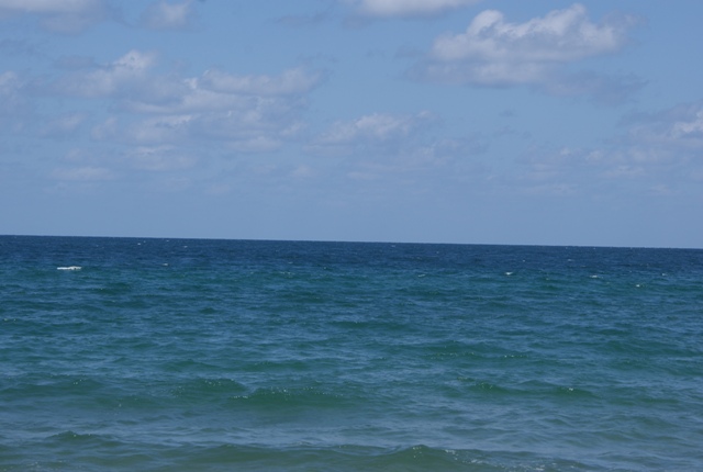 a0091666_9224665.jpg