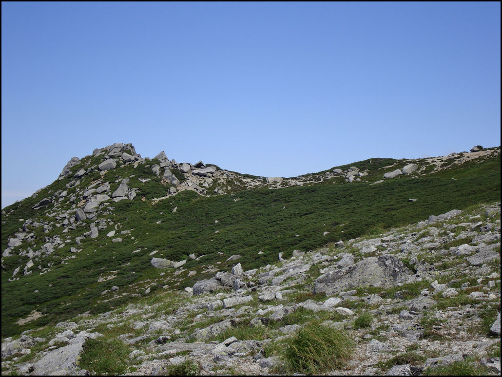 c0198669_1422283.jpg