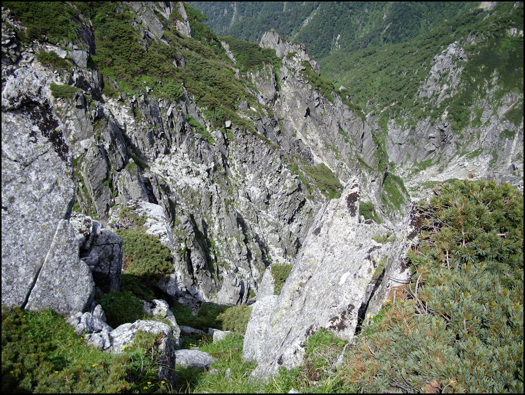 c0198669_1452720.jpg