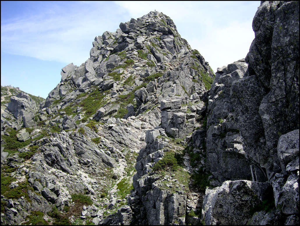 c0198669_1454674.jpg