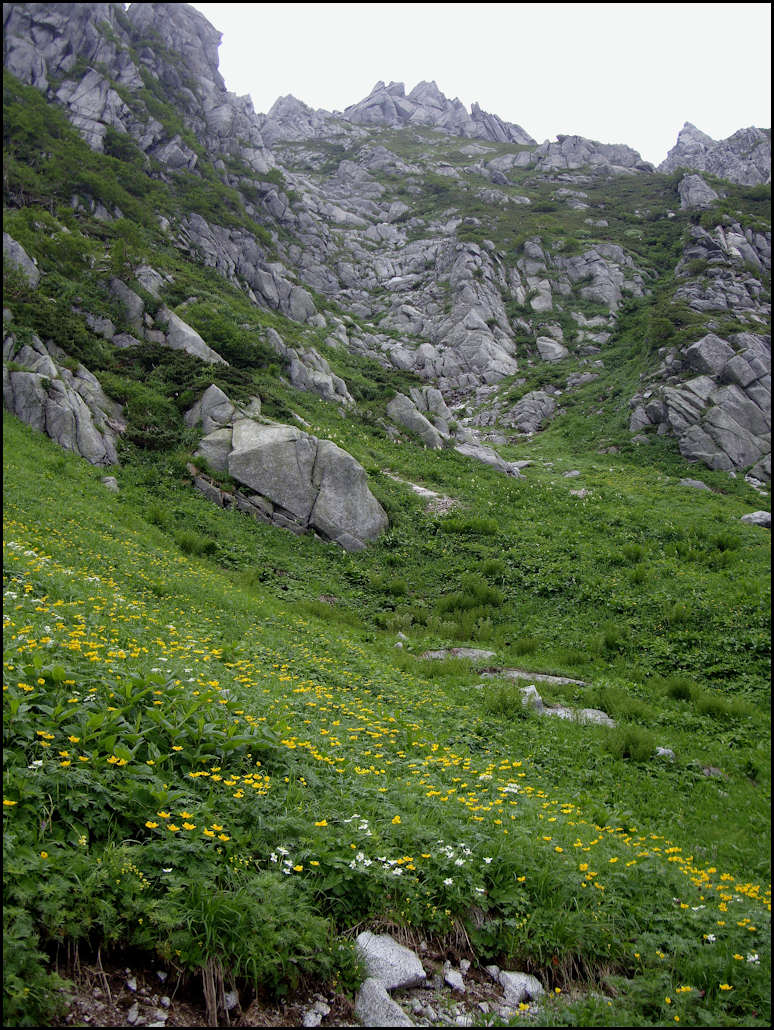 c0198669_19233792.jpg