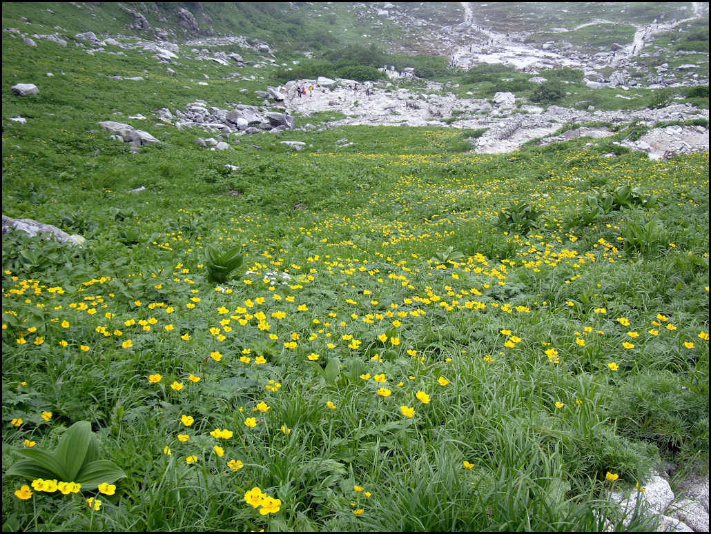 c0198669_192423.jpg