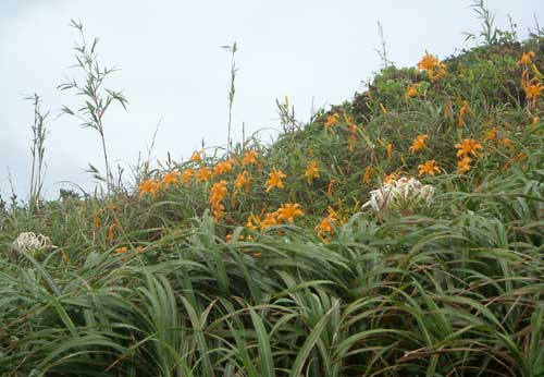 e0097770_10263988.jpg