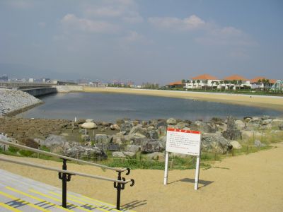 e0143671_1313401.jpg