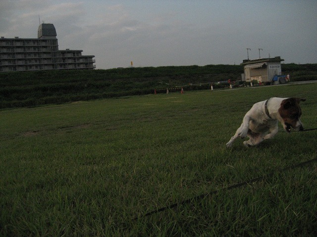 e0106372_9153089.jpg