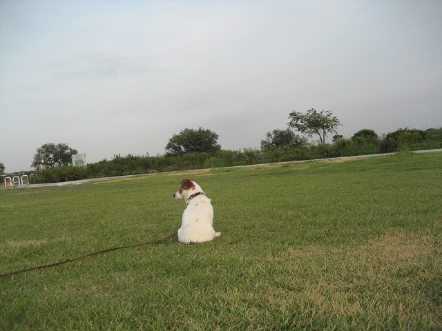 e0106372_917772.jpg