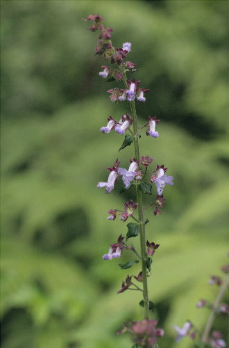 f0181173_18222598.jpg