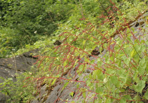 f0181173_18455669.jpg