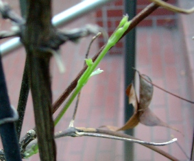 a0091680_1922917.jpg
