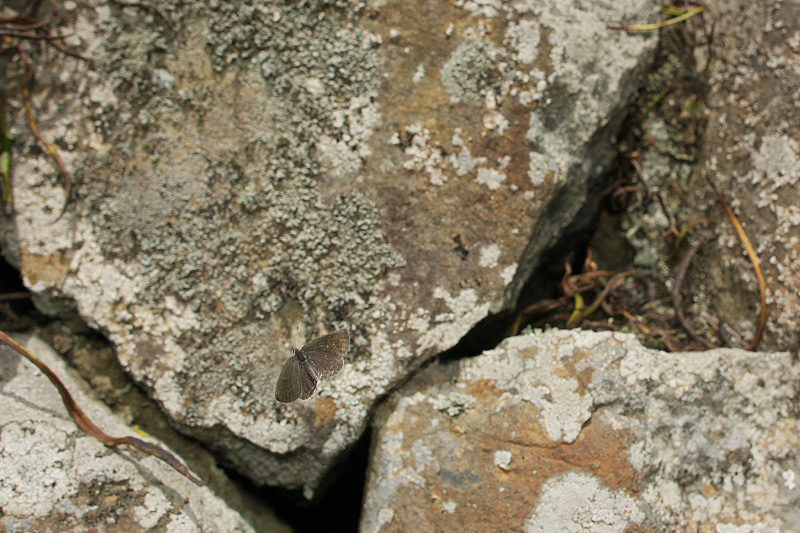 f0090680_22341036.jpg