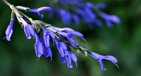 e0154682_17355928.jpg