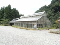 f0153383_1443959.jpg