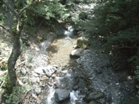 f0153383_14495992.jpg
