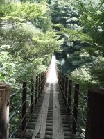f0153383_15423299.jpg